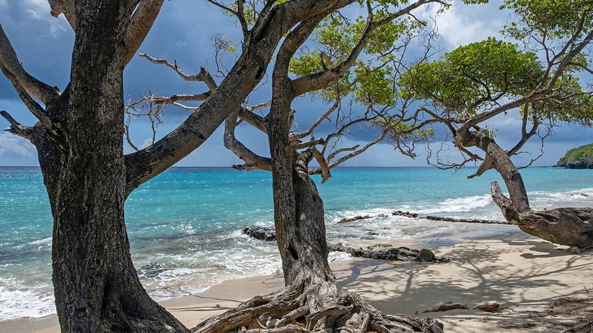 Beach on Bequia island in Caribbean