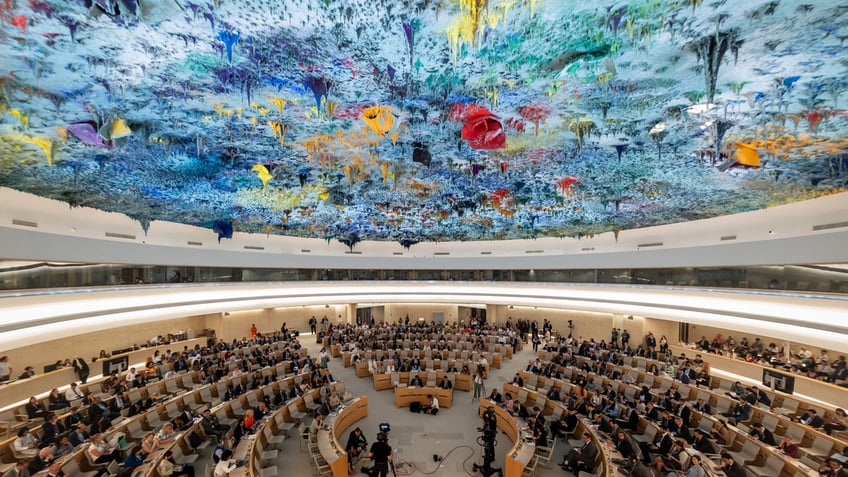 U.N. Human Rights Council