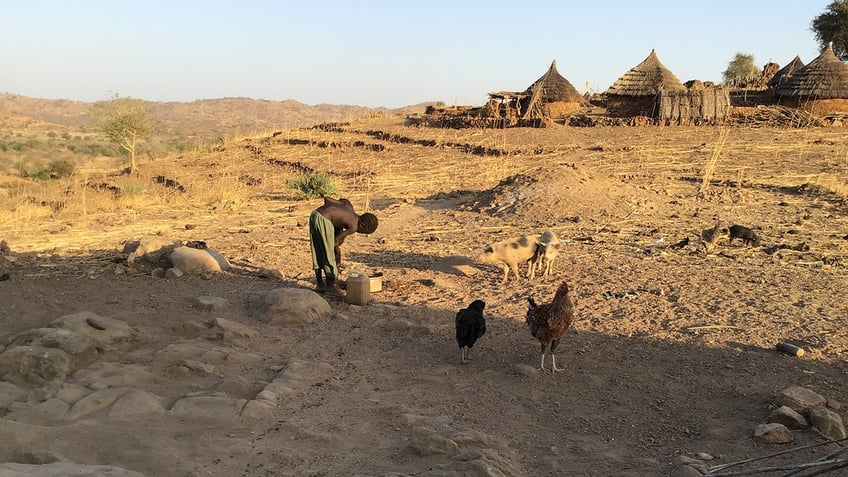 Nuba mountain landscape with chickens