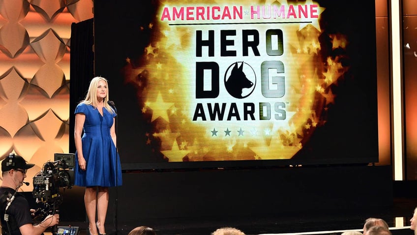 american humane hero dog awards 2023 announces top dog finalists ahead of veterans day ceremony