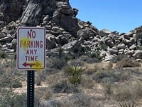 American national parks vandalized, ruined by visitors, could take centuries to remedy: report