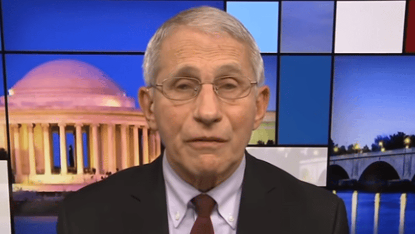 american pandemic samizdat bhattacharya