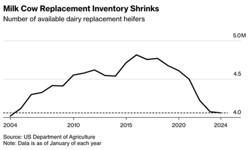 americas dairy cow replacement inventory collapses to two decade low 