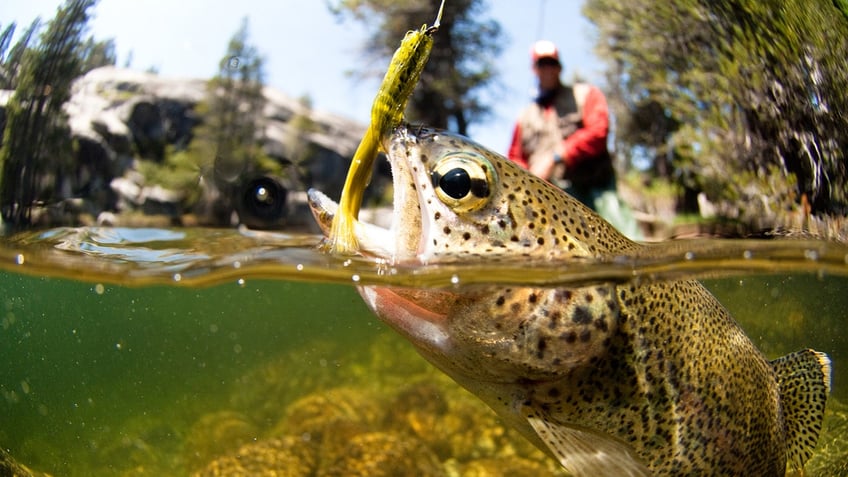 fishing with lure