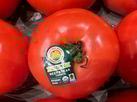 Amid Cinco de Mayo celebrations, a tax on Mexican tomatoes looms