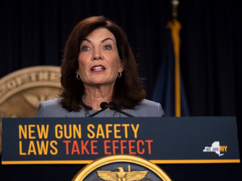 ammunition background checks purchase fees now law in new york