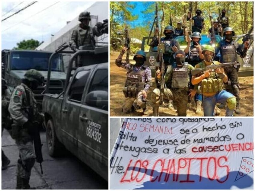 Cartels merge into Mega-Cartel (Cartel Chronicles)