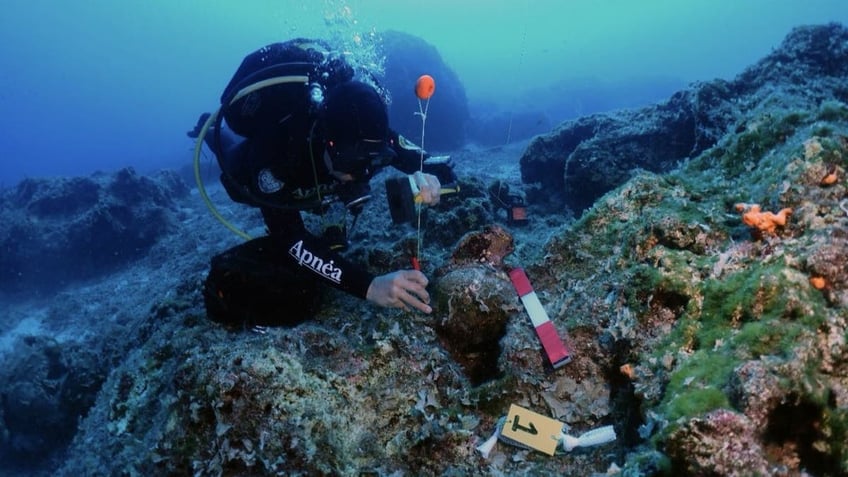 diver placing markers on the sea floor