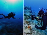 Ancient shipwrecks, artifacts dating as early as 3000 BC uncovered by underwater researchers