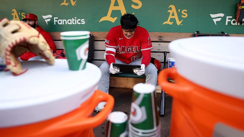 angels shohei ohtani has elbow surgery doctor says he likely can hit in 2024 and pitch in 2025