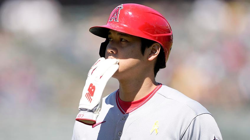 angels shohei ohtani has elbow surgery doctor says he likely can hit in 2024 and pitch in 2025