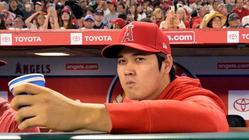 angels shohei ohtani has elbow surgery doctor says he likely can hit in 2024 and pitch in 2025