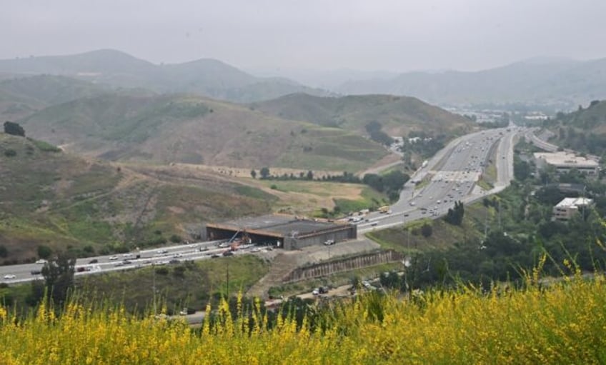 The wildlife crossing, which will be covered by local plants, aims to provide safe passage