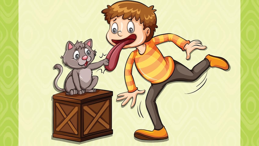 animal idioms we cant resist why do we say cat got your tongue and other popular phrases