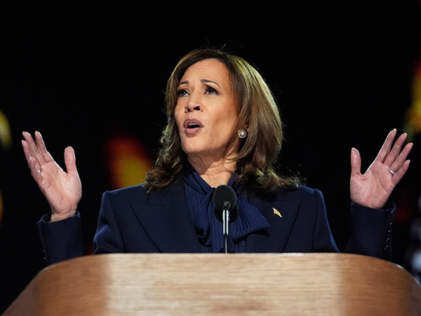 Democratic presidential nominee Vice President Kamala Harris speaks during the Democratic National Convention Thursday, Aug. 22, 2024, in Chicago. (AP Photo/Paul Sancya)