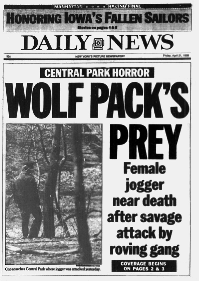 ann coulter the central park rape files