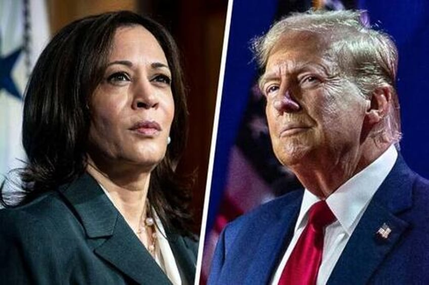 another dem oversampled poll still has trump beating harris 48 45