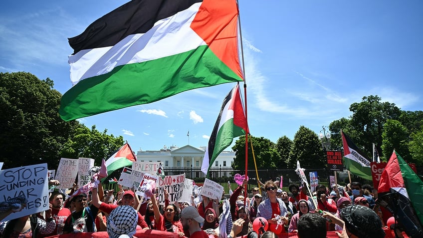 Pro Palestinian protesters waving a flag