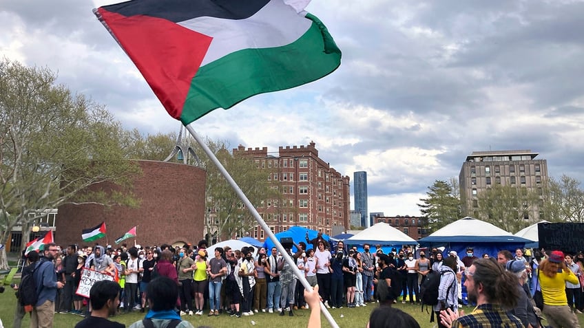 Palestinian flag waving