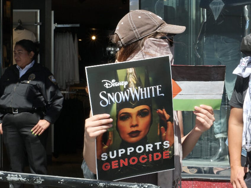 HOLLYWOOD, CALIFORNIA - MARCH 18: Pro-Palestine and pro-Israel protesters disrupt Gal Gado