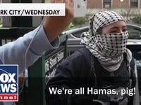 Anti-Israel protesters declare 'We are all Hamas!': 'Show us your face'