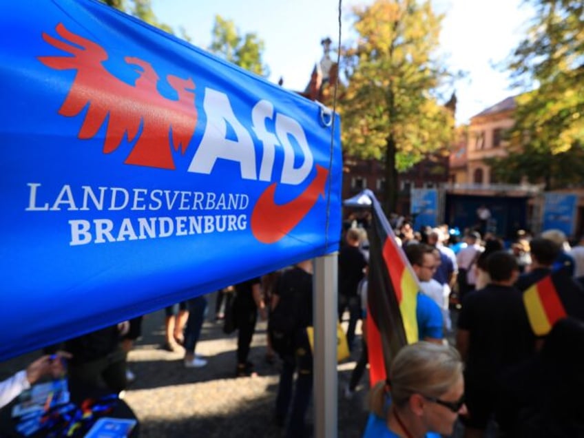 Supporters during an Alternative for Germany (AfD) regional election rally in Brandenburg,