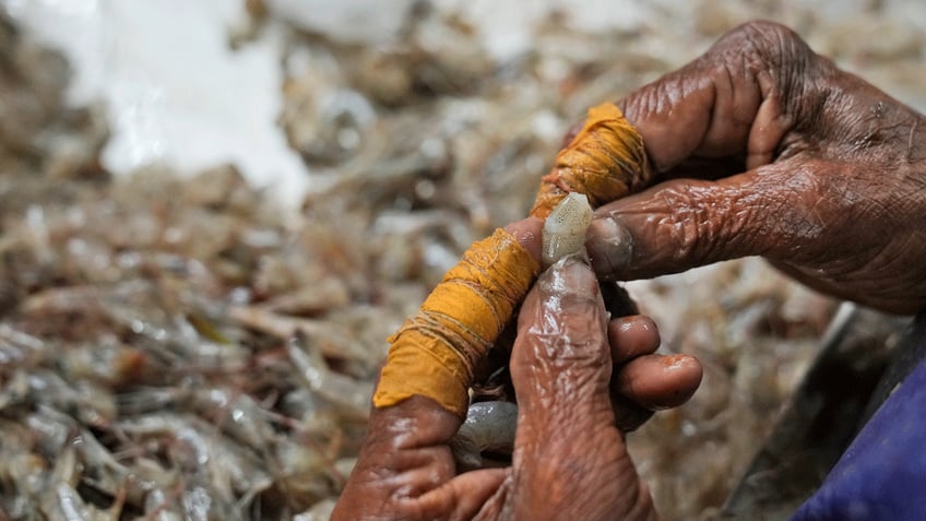 Indian-Shrimp