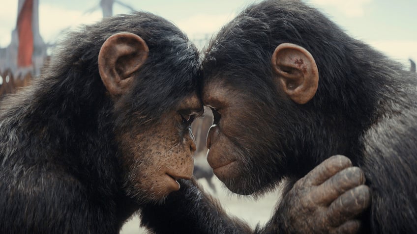 Two apes in movie still from 