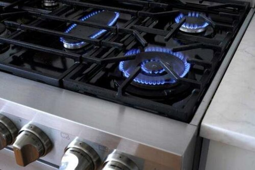 appeals court deals blow to california citys gas stove ban