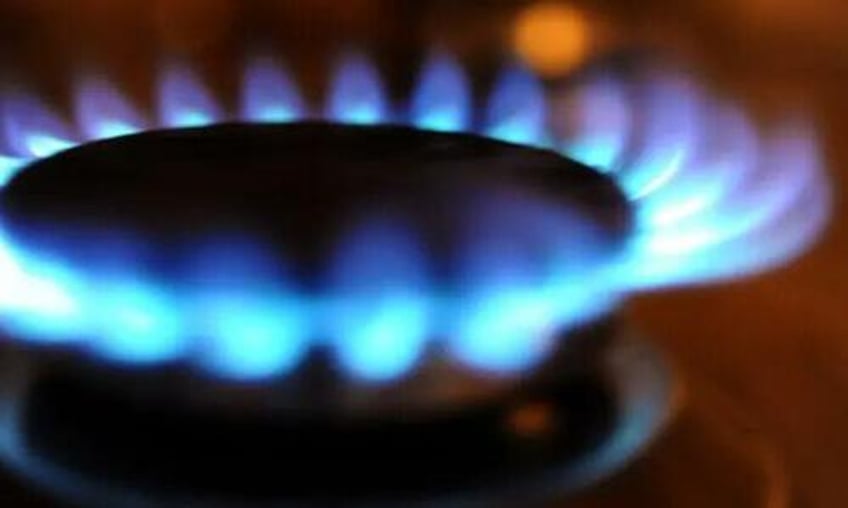 appeals court deals blow to california citys gas stove ban