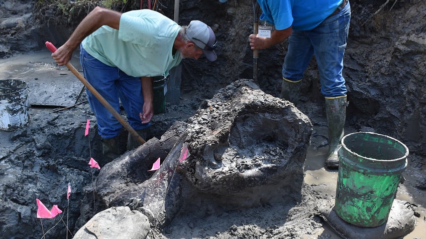 Workers dig up mastodon in Iowa