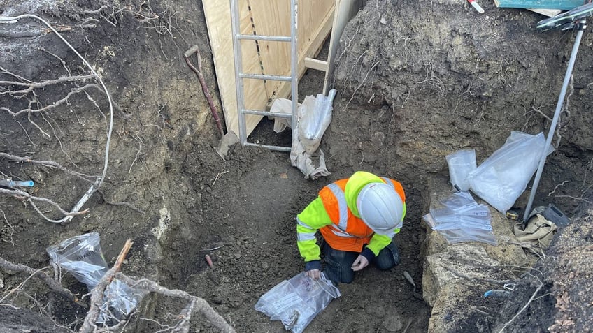 Cotswold Archaeology skeletons