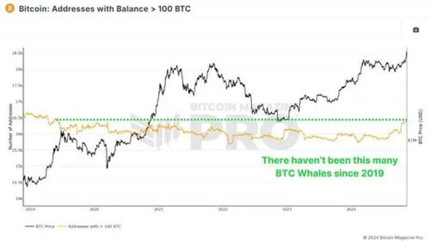 are retail investors behind the bitcoin price surge