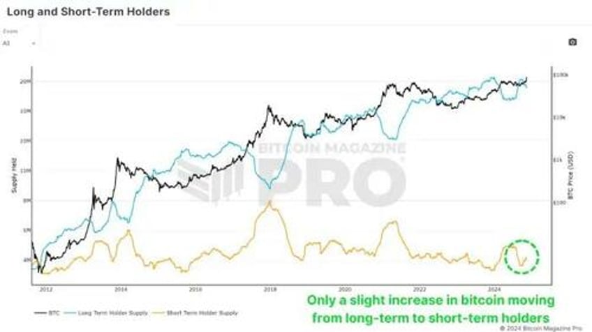 are retail investors behind the bitcoin price surge