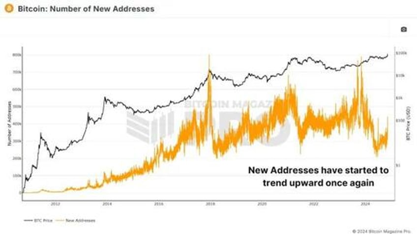 are retail investors behind the bitcoin price surge