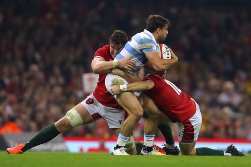 argentine mallia probed after collision with springbok williams
