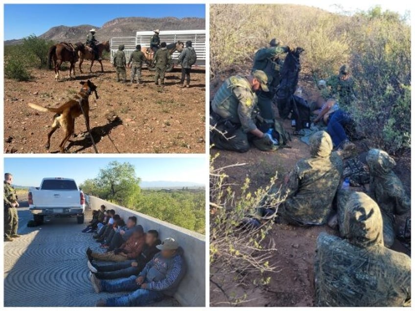 May Tucson Sector Migrant Apprehensions (U.S. Border Patrol/Tucson Sector)