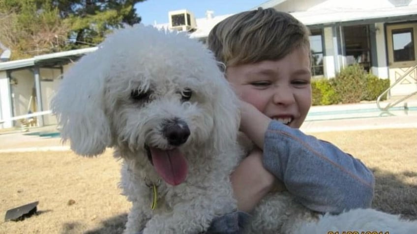 arizona dog returns to family after going missing for 12 years was like a new puppy again