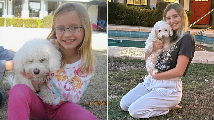 arizona dog returns to family after going missing for 12 years was like a new puppy again
