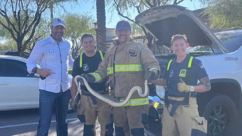 Firefighters holding boa constrictor