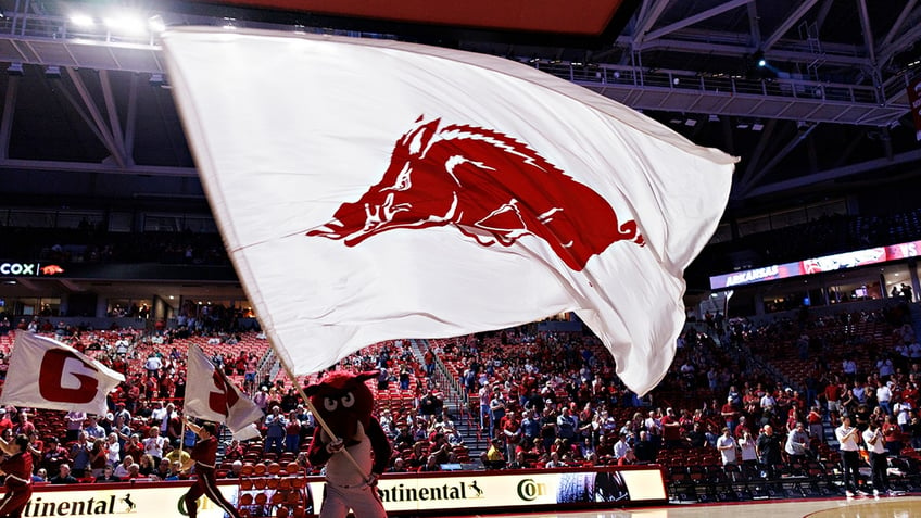 Razorback mascot