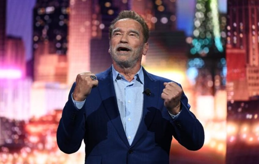 No laughing matter: Arnold Schwarzenegger was held by German customs official