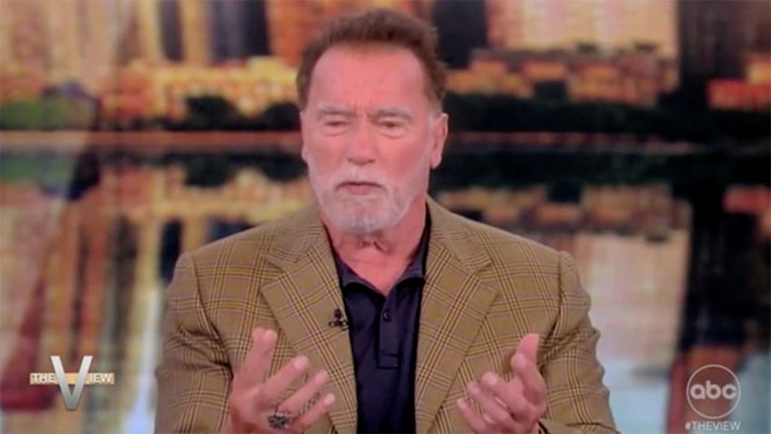 arnold schwarzenegger calls for impassable border on the view demands reform to stupid immigration system