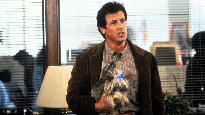 Sylvester Stallone in a brown jacket holds a dog on the film "Stop! Or My Mom Will Shoot"