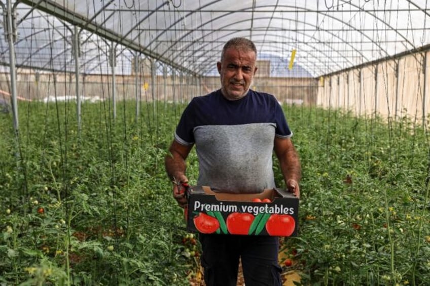 Hussein Jamil is one of dozens of Palestinian farmers who have set up greenhouses in the W