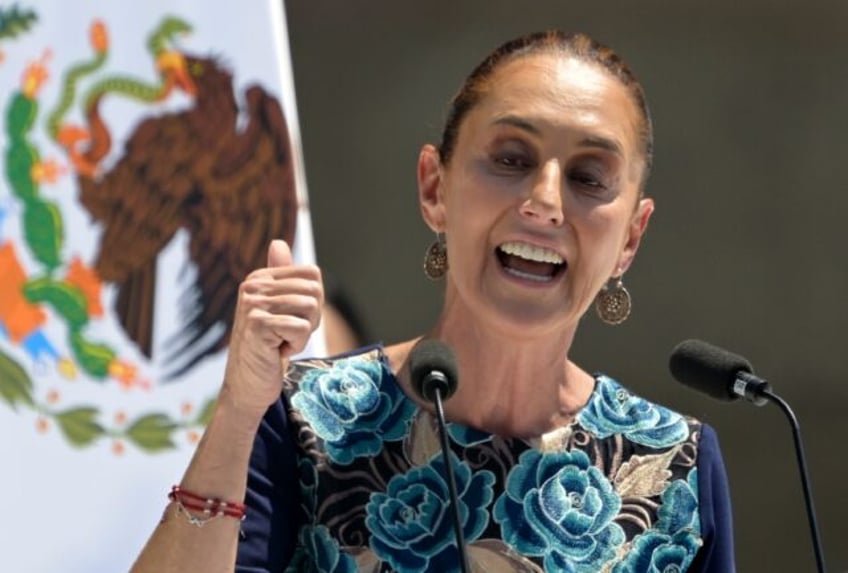 Mexico's President Claudia Sheinbaum has been acclaimed at home for her determined respons