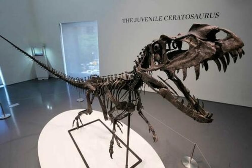 at sothebys auction 30 million dinosaur skeleton stuns as martian meteorite sets record