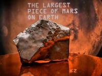 At Sotheby's Auction, $30 Million Dinosaur Skeleton Stuns As Martian Meteorite Sets Record