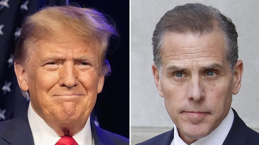 photos arranged of Trump and Hunter biden