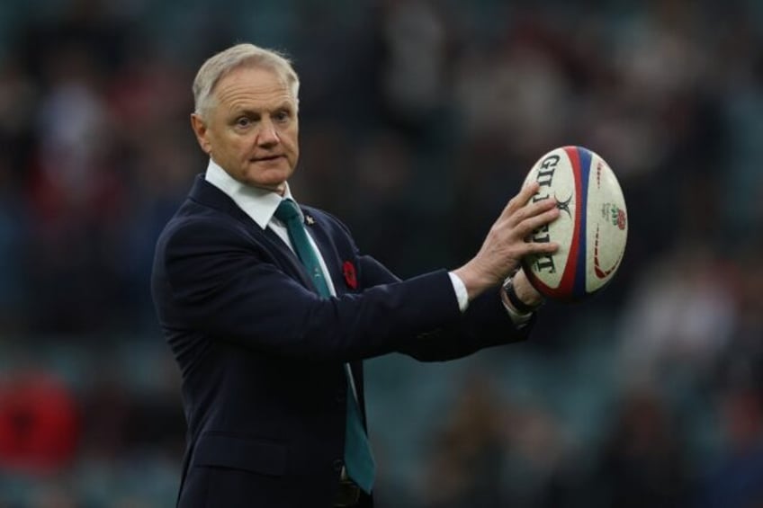 Looking ahead to the Lions: Australia coach Joe Schmidt